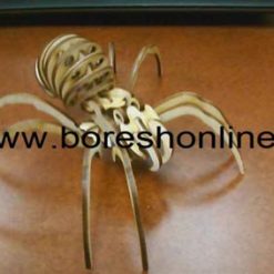 دانلود ماکت عنکبوت