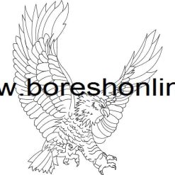 فایل وکتور عقاب