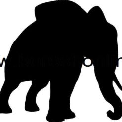 فایل کرل فیل