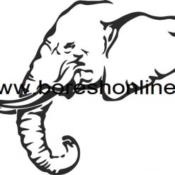 فایل کرل فیل