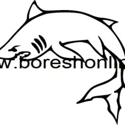 فایل کرل کوسه