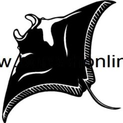 فایل لایه باز سفره ماهی