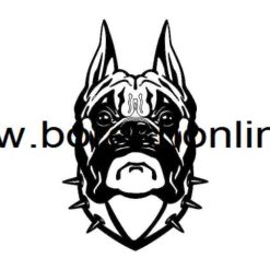 فایل لیزری سگ