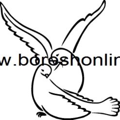 فایل لیزری کبوتر عاشق