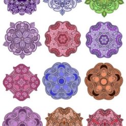 فایل کالکشن گل زیبا