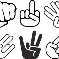 فایل کالکشن دست